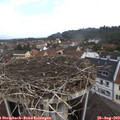 10_30-nest.jpg