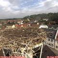 10_35-nest.jpg