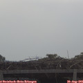 10_40-mast.jpg
