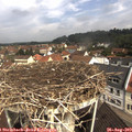 10_40-nest.jpg