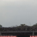 10_45-mast.jpg