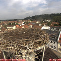 10_45-nest.jpg