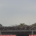 10_55-mast.jpg