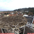 10_55-nest.jpg