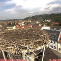 11_20-nest.jpg