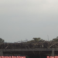 11_30-mast.jpg