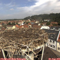 11_30-nest.jpg