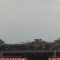 11_35-mast.jpg