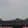 11_45-mast.jpg