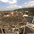 11_45-nest.jpg