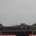 11_55-mast.jpg
