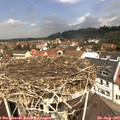 11_55-nest.jpg