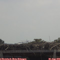 12_00-mast.jpg