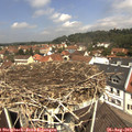 12_00-nest.jpg