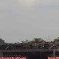 12_05-mast.jpg