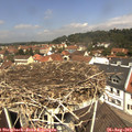 12_05-nest.jpg