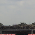 12_10-mast.jpg