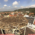 12_10-nest.jpg