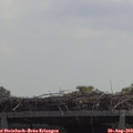 12_15-mast.jpg