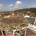 12_15-nest.jpg