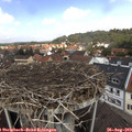 12_20-nest.jpg
