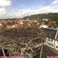 12_25-nest.jpg
