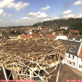 12_30-nest.jpg