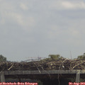 12_40-mast.jpg