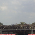 12_45-mast.jpg