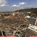 12_45-nest.jpg