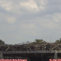 12_50-mast.jpg