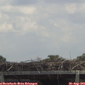 12_55-mast.jpg