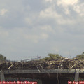 13_00-mast.jpg
