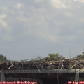 13_05-mast.jpg
