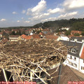 13_05-nest.jpg