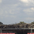 13_10-mast.jpg