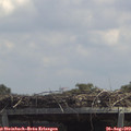 13_15-mast.jpg
