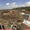 13_15-nest.jpg