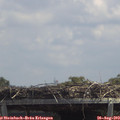 13_20-mast.jpg