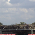 13_25-mast.jpg