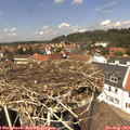 13_25-nest.jpg