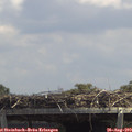 13_30-mast.jpg