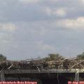 13_35-mast.jpg