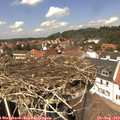 13_35-nest.jpg