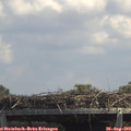 13_40-mast.jpg