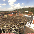 13_40-nest.jpg
