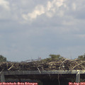 13_45-mast.jpg
