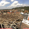 13_45-nest.jpg