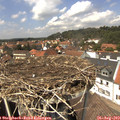 13_50-nest.jpg