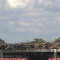 13_55-mast.jpg